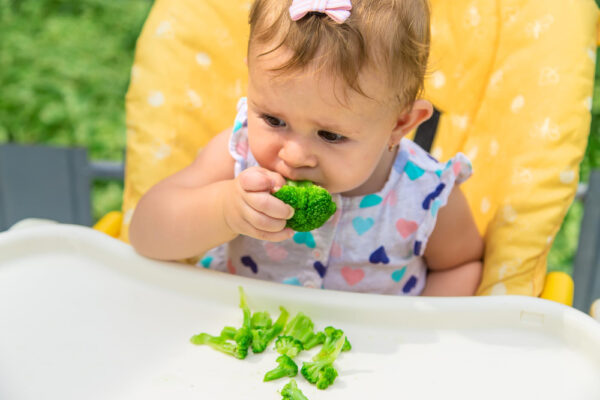 Najlepszy przepis na brokuły dla niemowlaka: jak bezpiecznie przygotować zdrowy posiłek